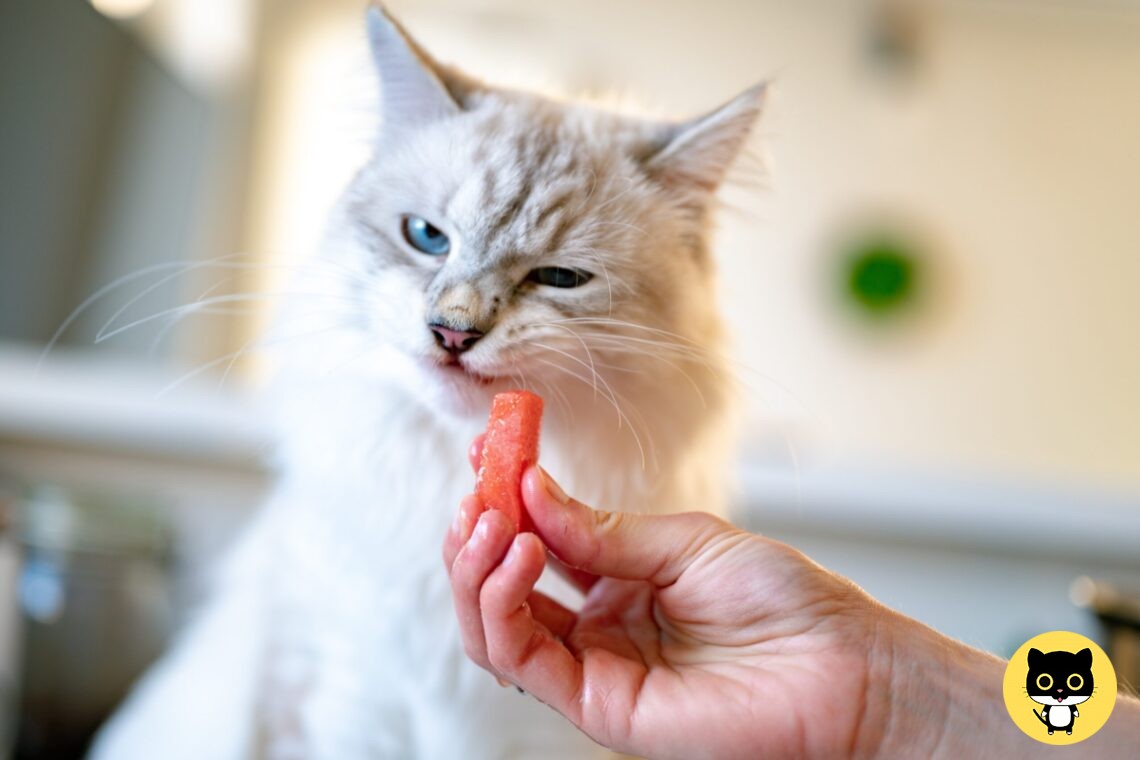 Can Cats Taste Sweetness?