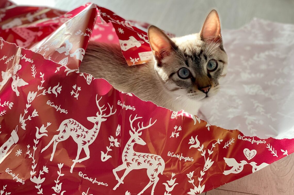 Cat Gifts
