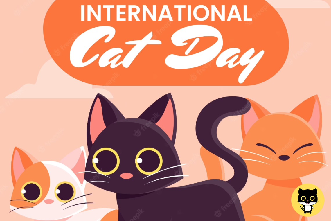 International Cat Day Feed Stray Cats