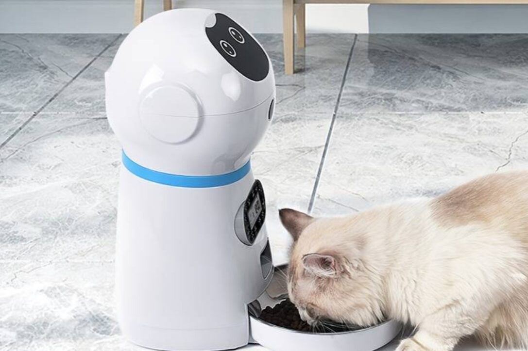 Cat Feeders – Benefits & Drawbacks