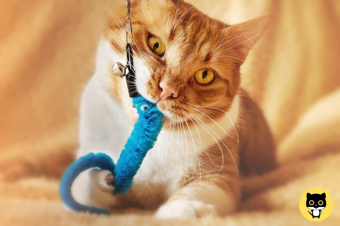 Cat Toys