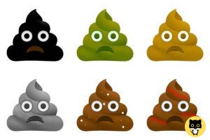 Cat Poop Color Chart